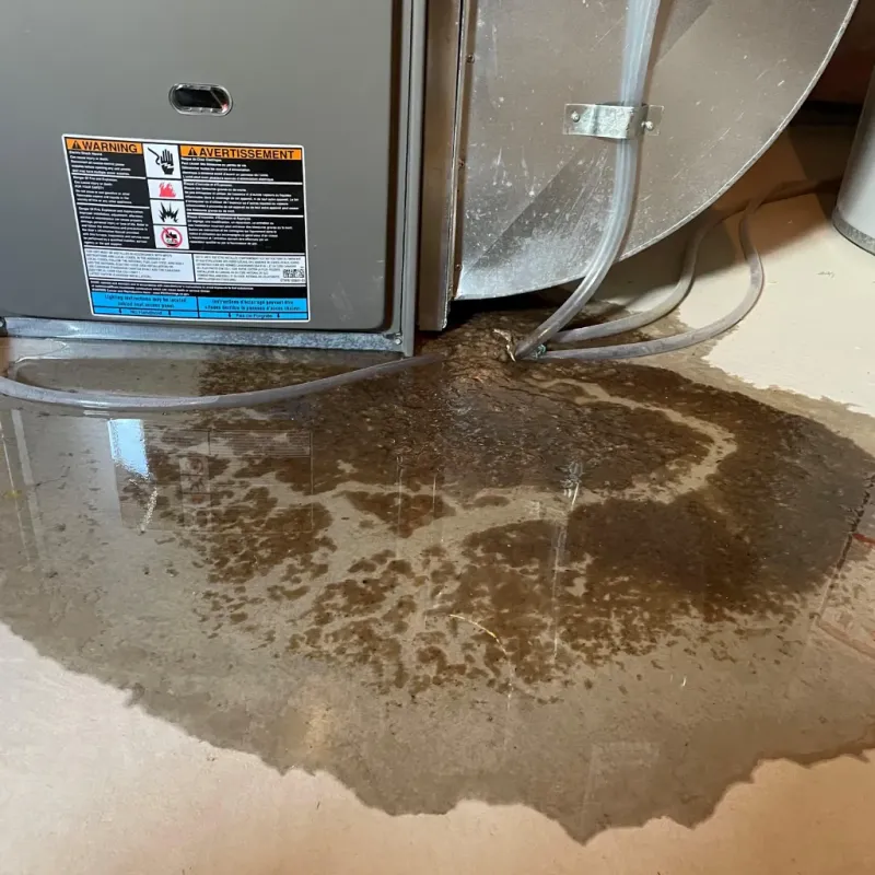 Appliance Leak Cleanup in Greater Northdale, FL